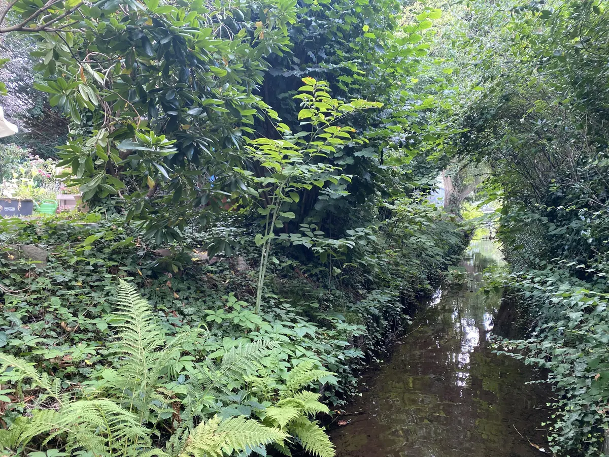 LocationRobot - Film Location Haus LR4450 (photo 46)