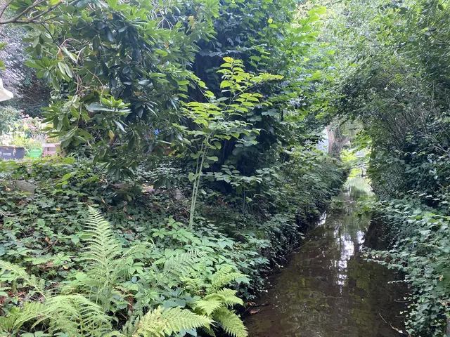 LocationRobot - Film Location Haus LR4450 (photo 46)