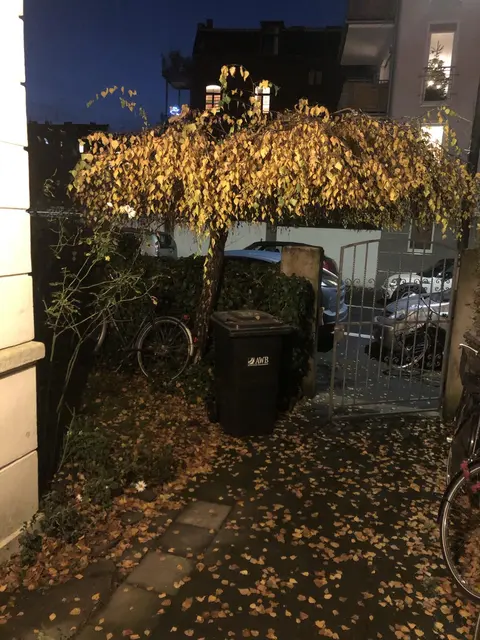 LocationRobot - Film Location Wohnung LR4461 (photo 20)