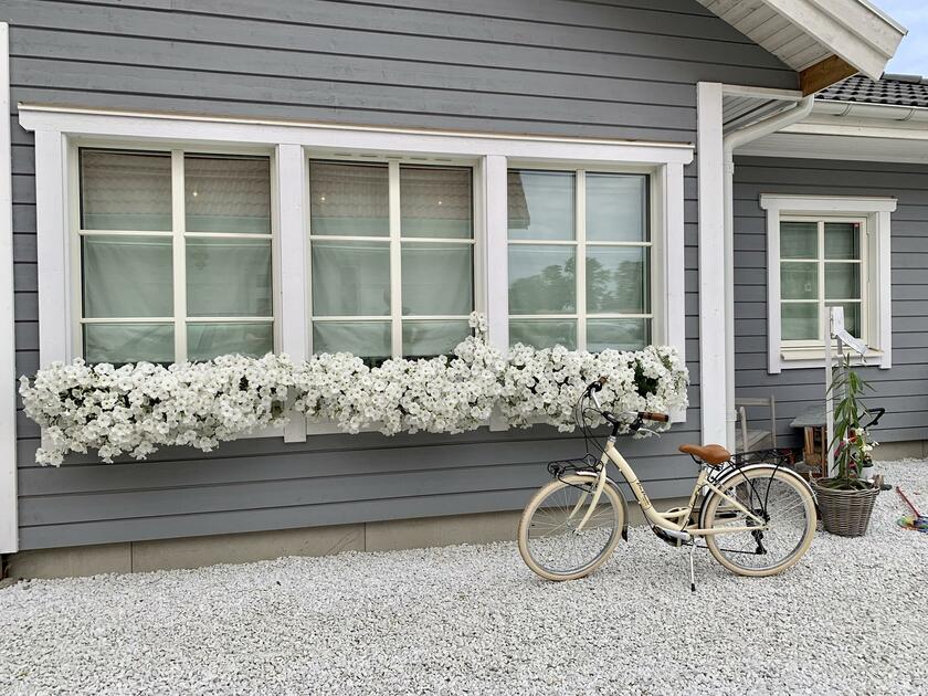 LocationRobot - Film Location Holzhaus LR4484 (photo 5)