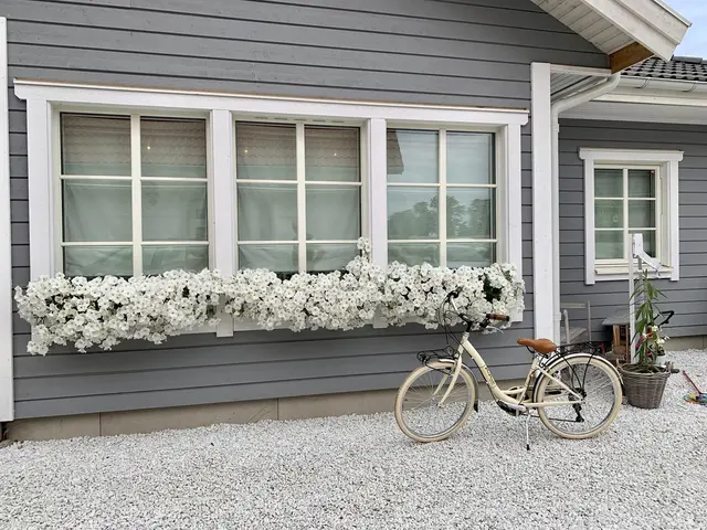 LocationRobot - Film Location Holzhaus LR4484 (photo 5)