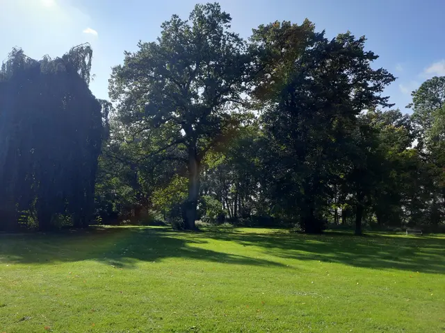 LocationRobot - Film Location Gutshaus LR4500 (photo 30)