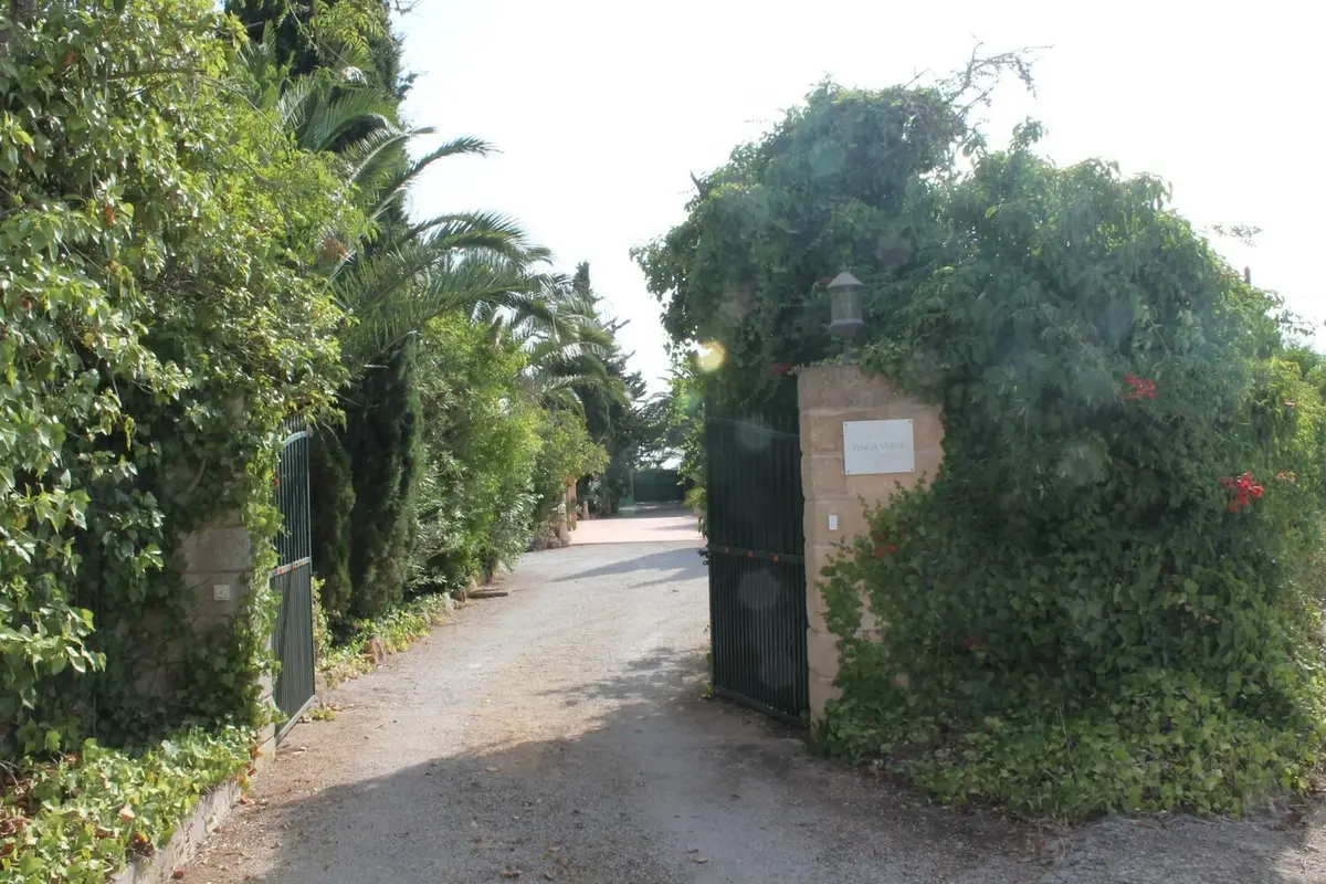 LocationRobot - Film Location Finca LR4524 (photo 18)