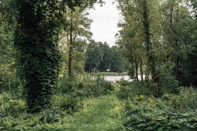 LocationRobot - Film Location Villa LR4543 (photo 25)