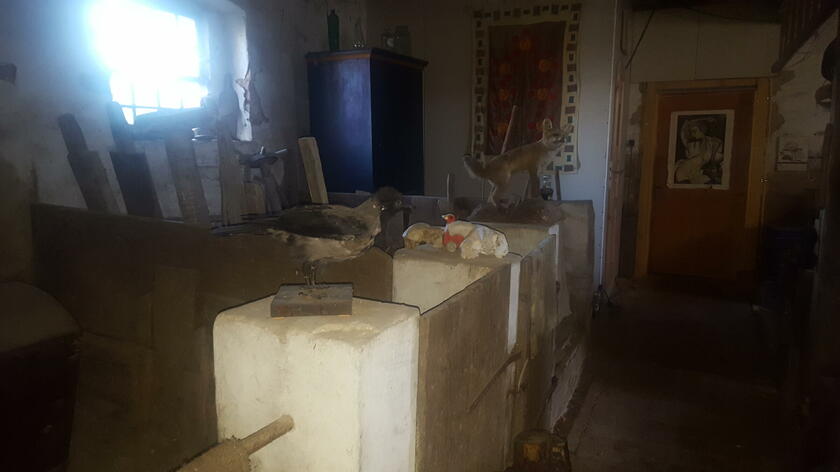 LocationRobot - Film Location Bauernhaus LR4579 (photo 9)