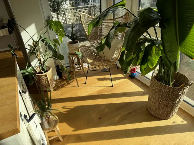 LocationRobot - Film Location Wohnung LR4617 (photo 25)