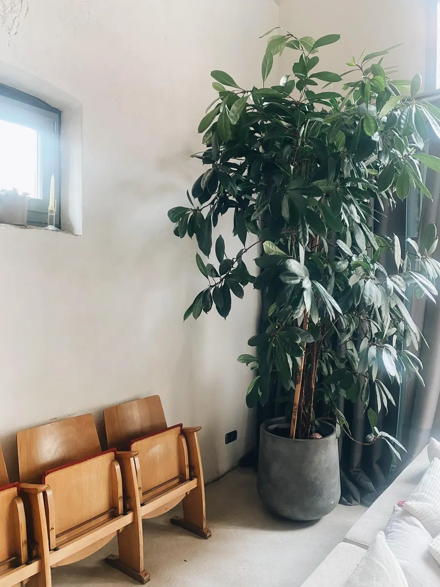 LocationRobot - Film Location Loft LR4682 (photo 4)