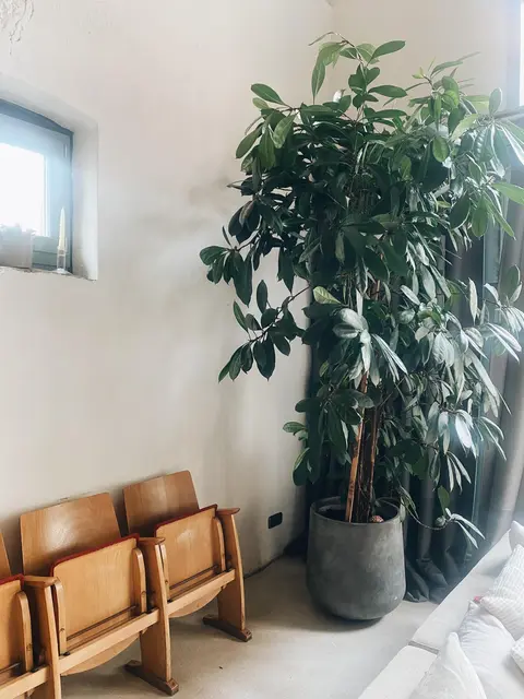 LocationRobot - Film Location Loft LR4682 (photo 4)