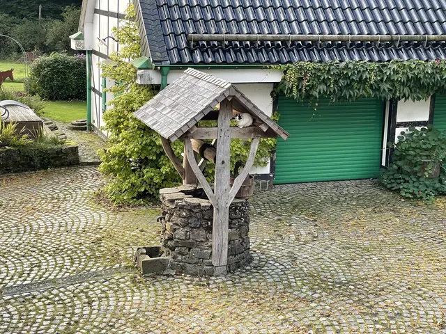 LocationRobot - Film Location Wohnung LR4688 (photo 25)
