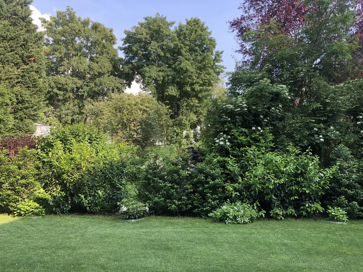 LocationRobot - Film Location Maisonette LR4697 (photo 30)
