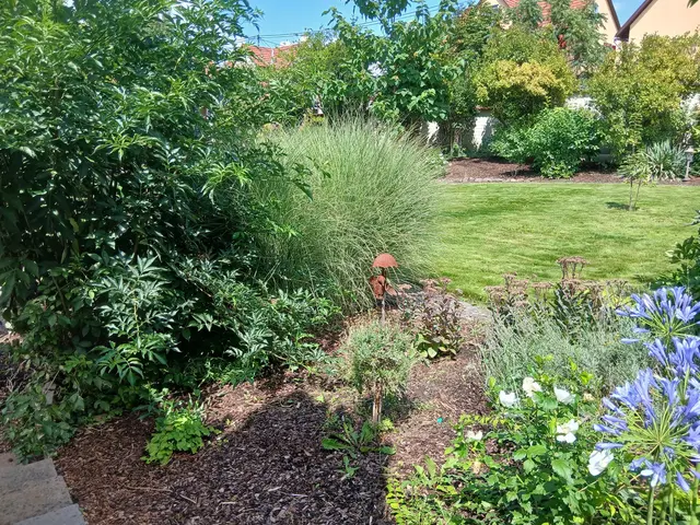 LocationRobot - Film Location Einfamilienhaus LR4701 (photo 20)