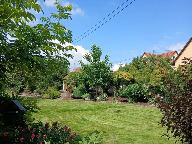 LocationRobot - Film Location Einfamilienhaus LR4701 (photo 22)