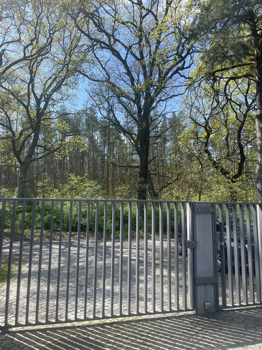 LocationRobot - Film Location Villa LR4895 (photo 35)