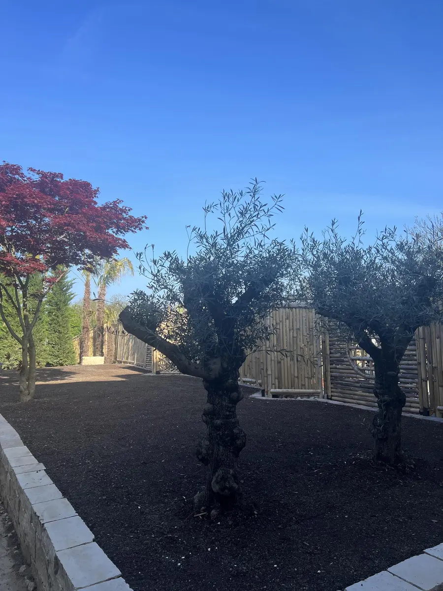 LocationRobot - Film Location Haus LR4901 (photo 36)