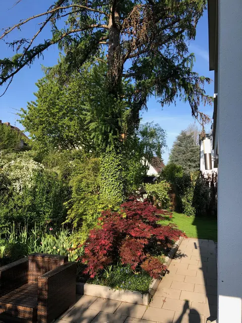 LocationRobot - Film Location Villa LR4927 (photo 99)