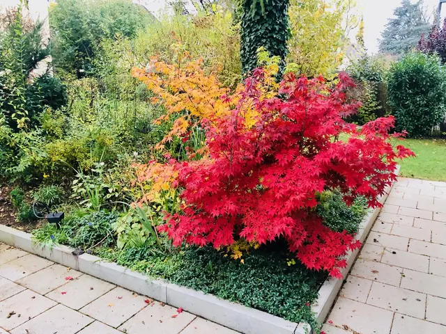 LocationRobot - Film Location Villa LR4927 (photo 97)