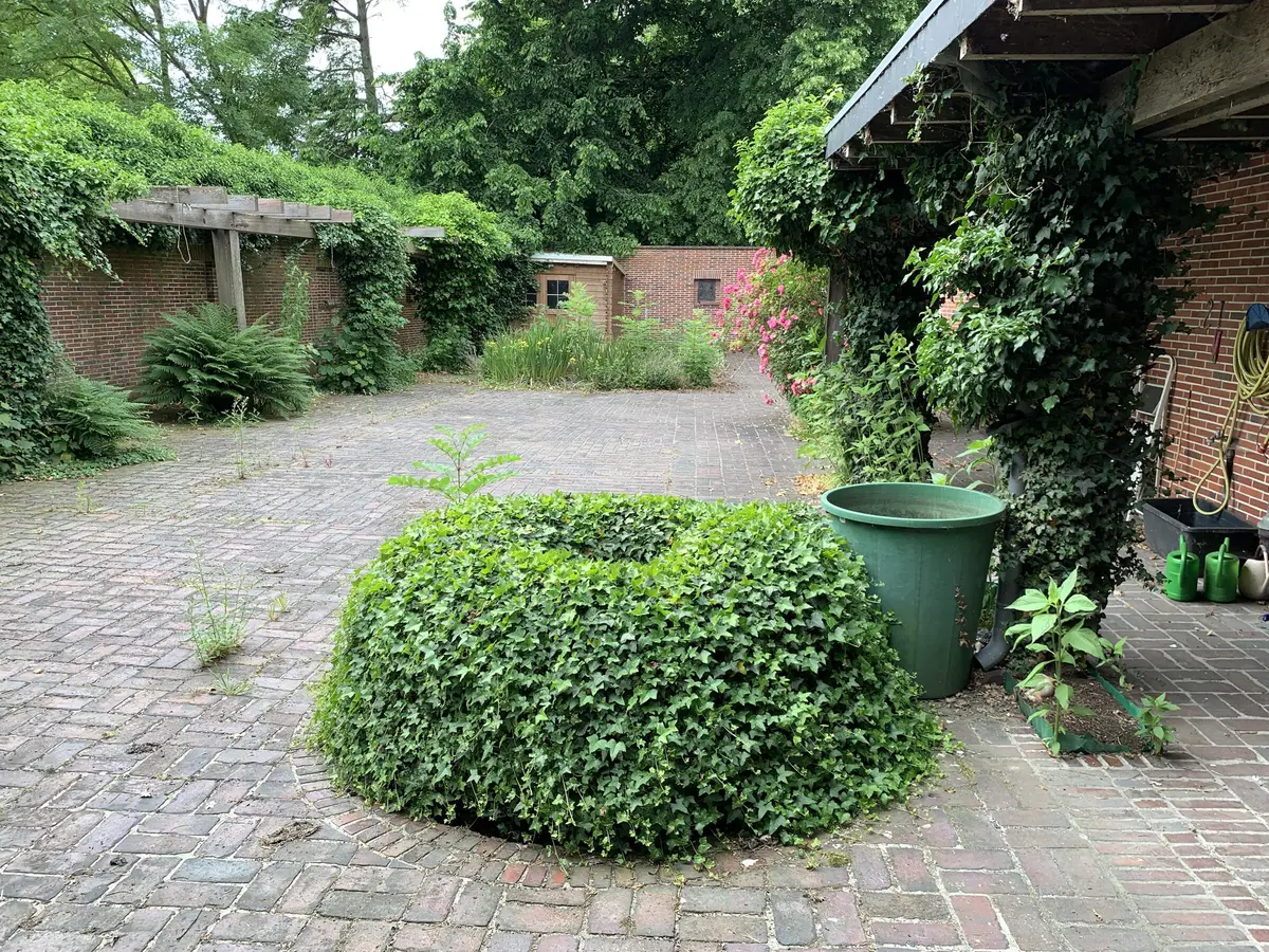 LocationRobot - Film Location Haus LR4951 (photo 48)