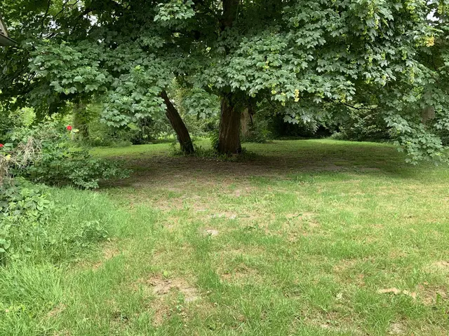 LocationRobot - Film Location Haus LR4951 (photo 42)