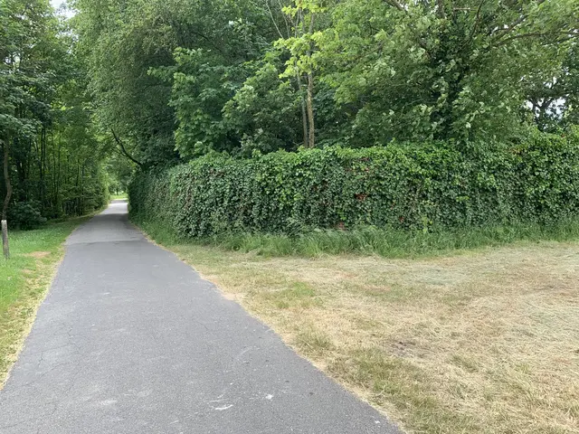 LocationRobot - Film Location Haus LR4951 (photo 54)