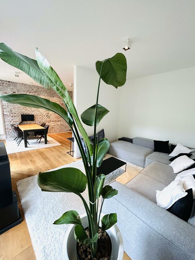 LocationRobot - Film Location Wohnung LR5039 (photo 6)