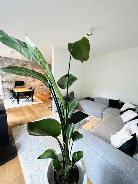 LocationRobot - Film Location Wohnung LR5039 (photo 6)