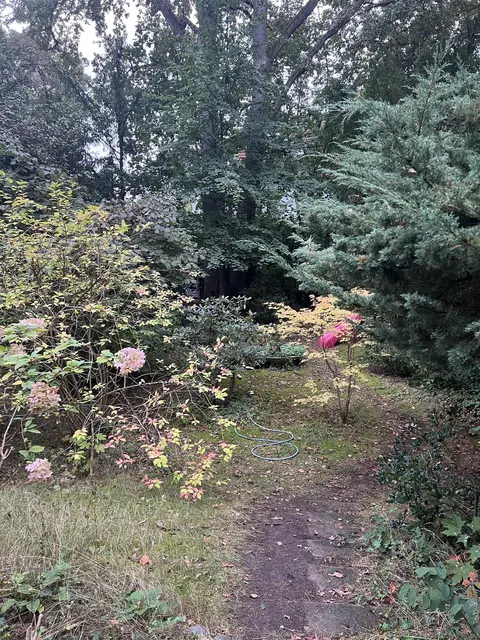 LocationRobot - Film Location Einfamilienhaus LR5102 (photo 49)
