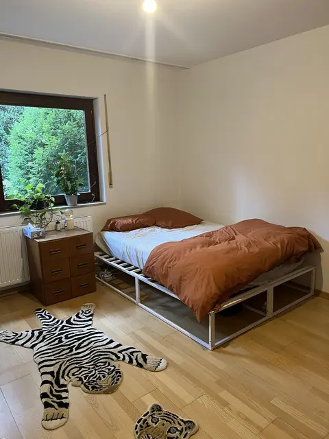 LocationRobot - Film Location Einfamilienhaus LR5102 (photo 13)
