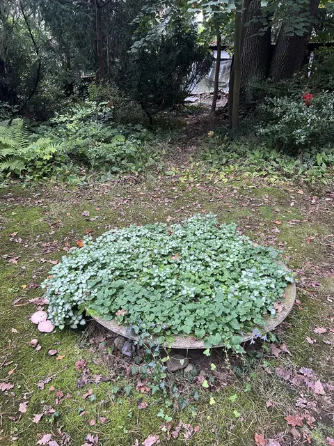 LocationRobot - Film Location Einfamilienhaus LR5102 (photo 51)