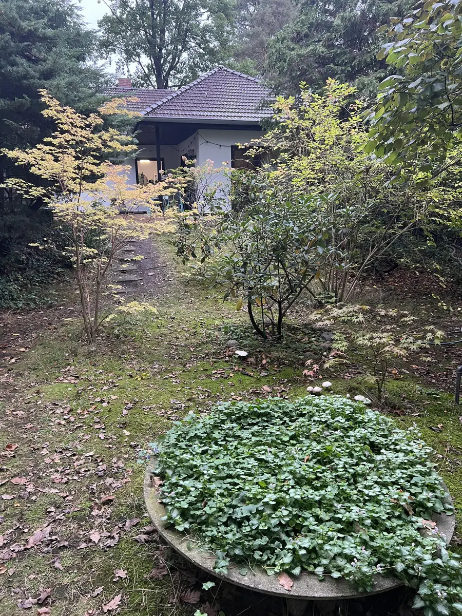 LocationRobot - Film Location Einfamilienhaus LR5102 (photo 42)