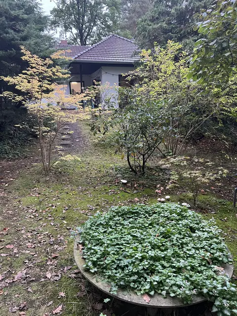 LocationRobot - Film Location Einfamilienhaus LR5102 (photo 42)