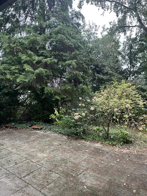 LocationRobot - Film Location Einfamilienhaus LR5102 (photo 52)
