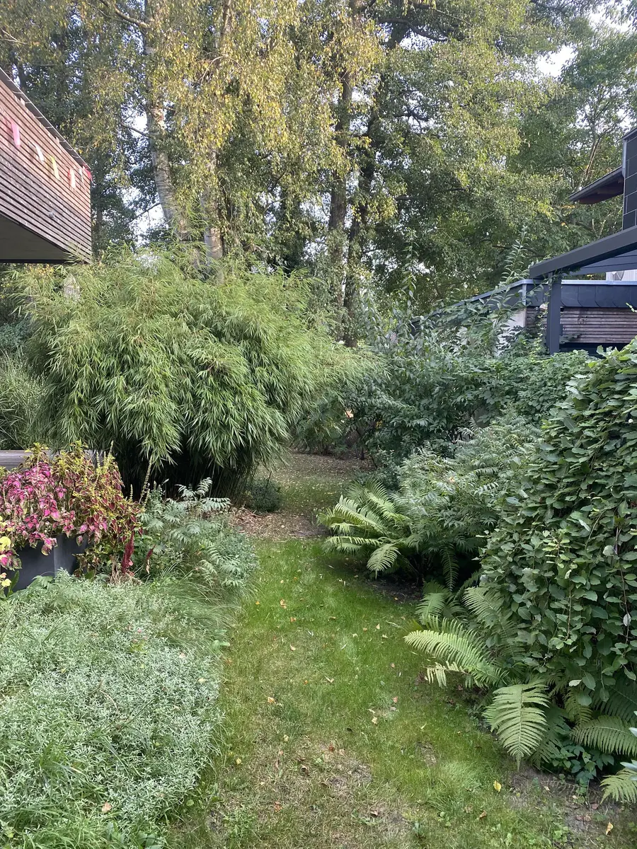 LocationRobot - Film Location Einfamilienhaus LR5123 (photo 52)