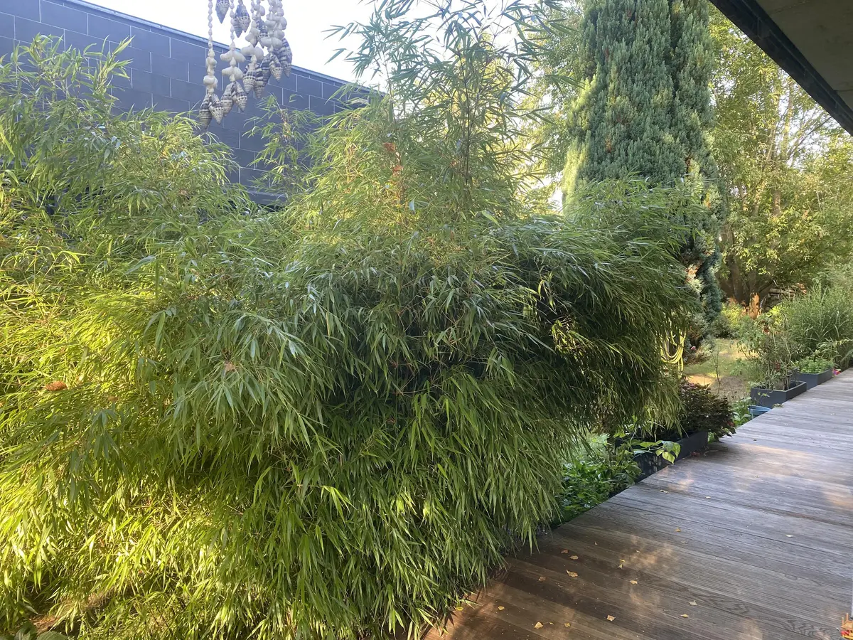 LocationRobot - Film Location Einfamilienhaus LR5123 (photo 51)