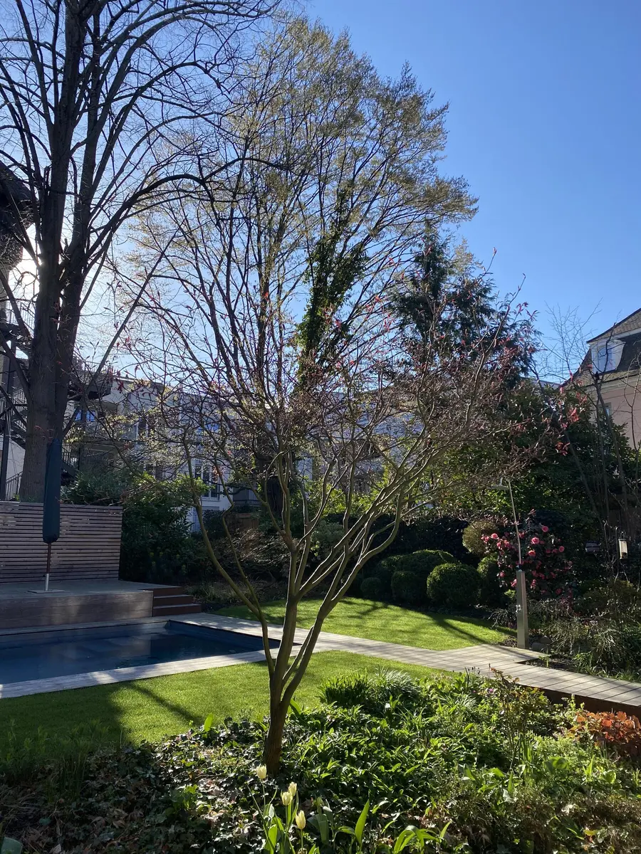 LocationRobot - Film Location Stadthaus LR5145 (photo 23)