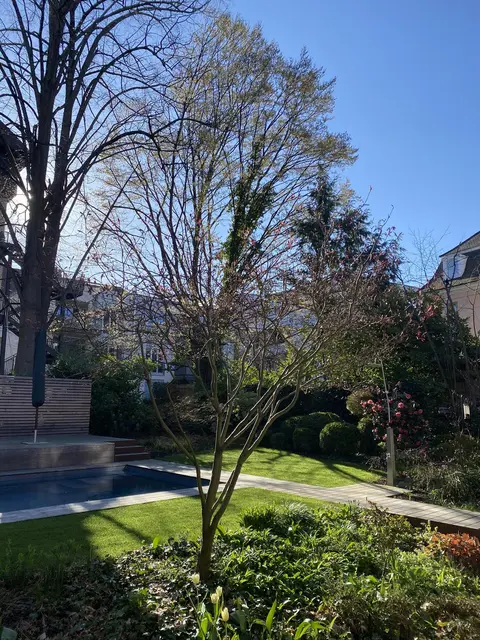 LocationRobot - Film Location Stadthaus LR5145 (photo 23)