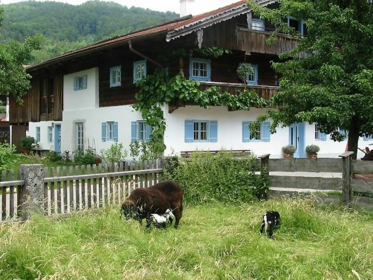 LocationRobot - Film Location Bauernhaus LR5166 (photo 15)