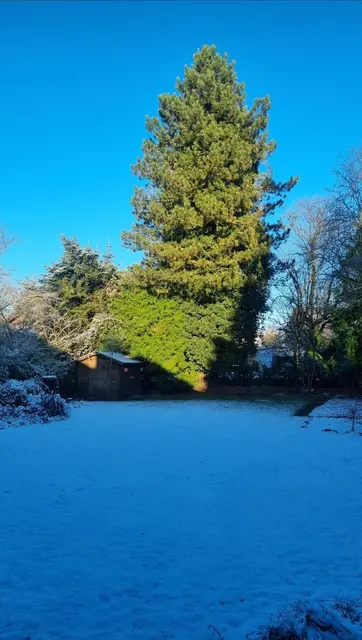 LocationRobot - Film Location Einfamilienhaus LR5175 (photo 47)