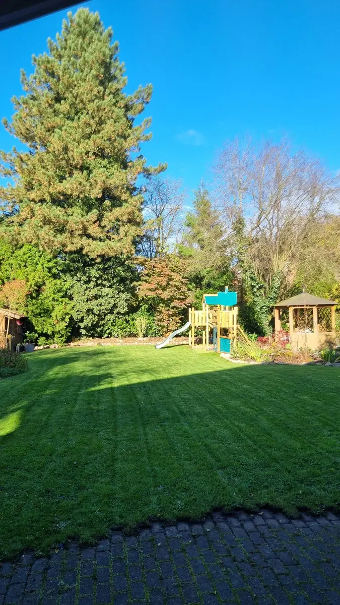 LocationRobot - Film Location Einfamilienhaus LR5175 (photo 44)