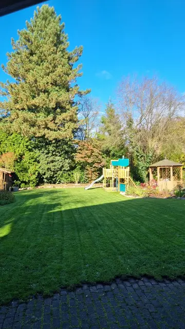 LocationRobot - Film Location Einfamilienhaus LR5175 (photo 44)