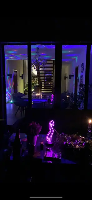 LocationRobot - Film Location Einfamilienhaus LR5175 (photo 39)