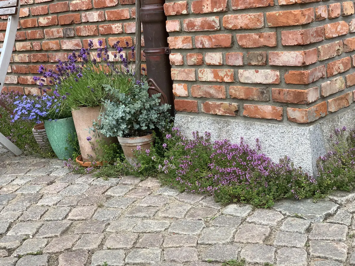 LocationRobot - Film Location Landhaus LR5201 (photo 39)