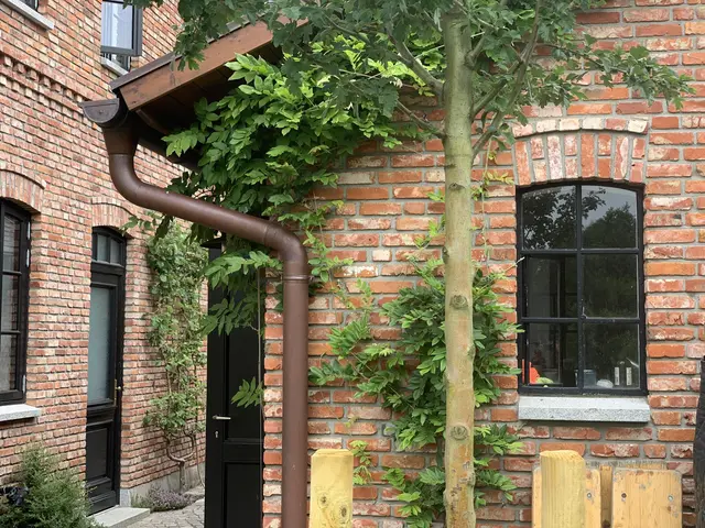 LocationRobot - Film Location Landhaus LR5201 (photo 35)