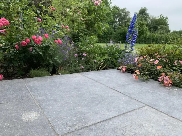 LocationRobot - Film Location Landhaus LR5201 (photo 27)