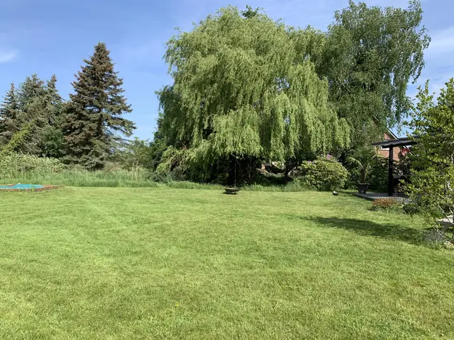 LocationRobot - Film Location Landhaus LR5201 (photo 32)