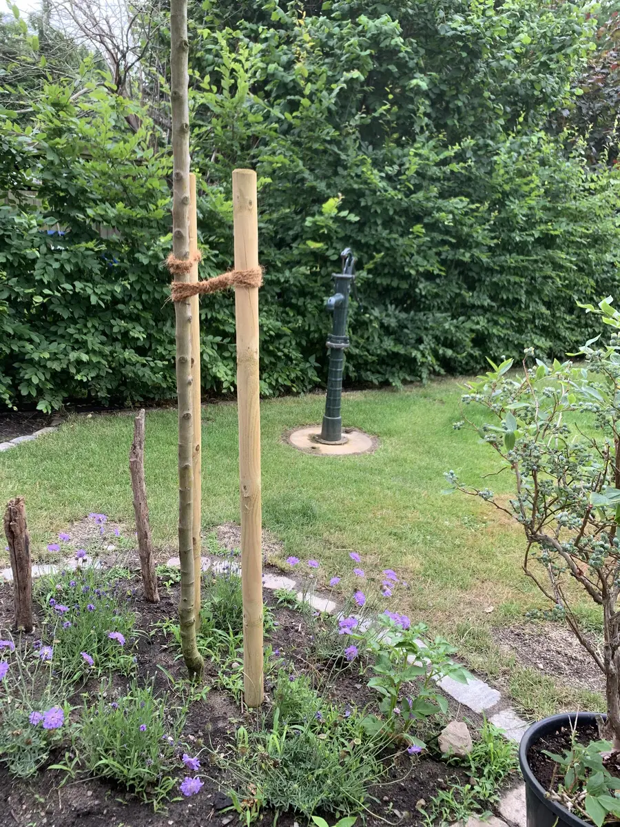 LocationRobot - Film Location Landhaus LR5201 (photo 34)