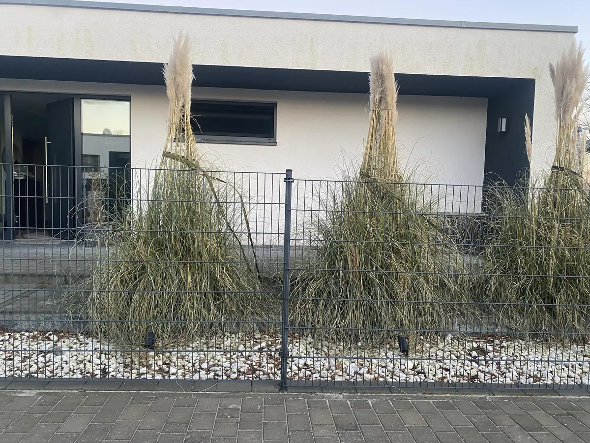 LocationRobot - Film Location Bungalow LR5271 (photo 43)