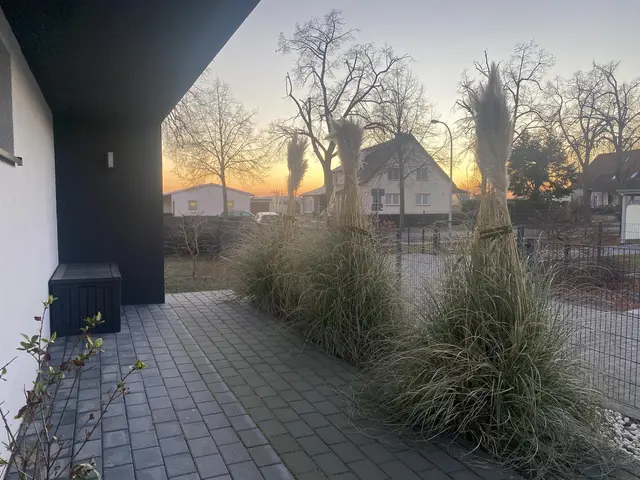 LocationRobot - Film Location Bungalow LR5271 (photo 40)