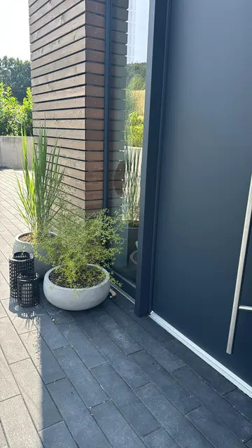 LocationRobot - Film Location Einfamilienhaus LR5275 (photo 56)