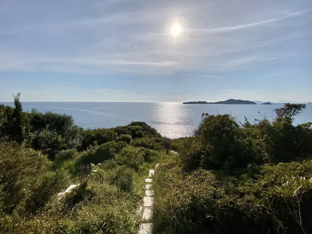 LocationRobot - Film Location Villa LR5276 (photo 26)