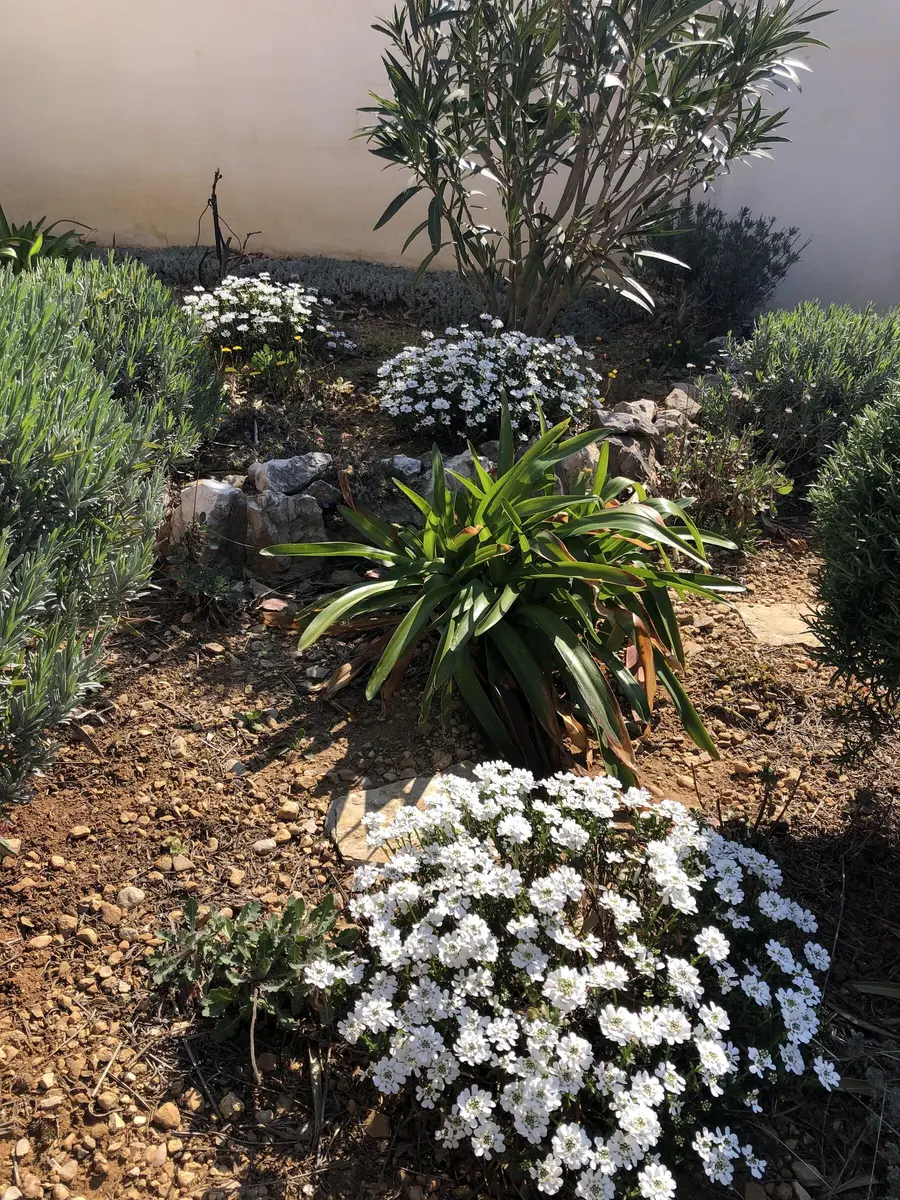 LocationRobot - Film Location Ferienhaus LR5284 (photo 32)